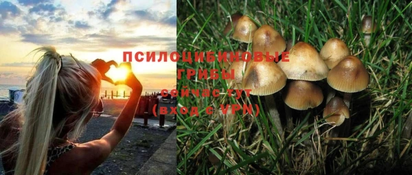гашишное масло Беломорск